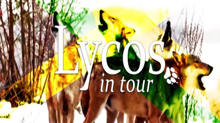 LYCOS IN TOUR A MONTEFUSCO, EX CAPOLUOGO DI PRINCIPATO ULTERIORE